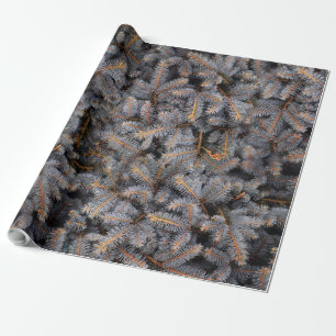 Woodland Winter Blue Spruce Pine Tree Wrapping Paper