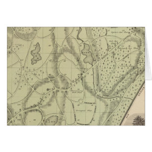 Woodlawn Cemetery