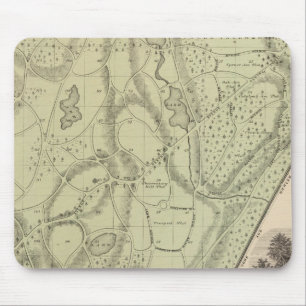 Woodlawn Cemetery Mouse Pad