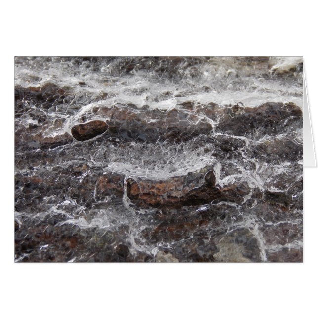 Woodness II (Front Horizontal)