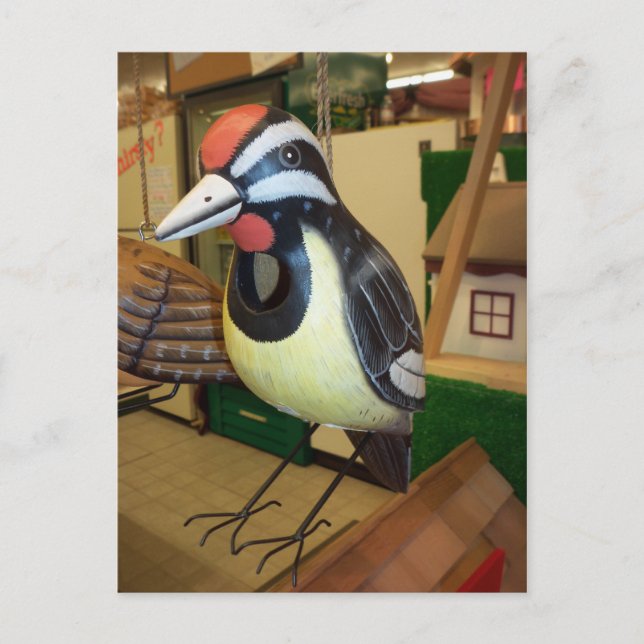 Woodpecker Birdhouse Postcard (Front)