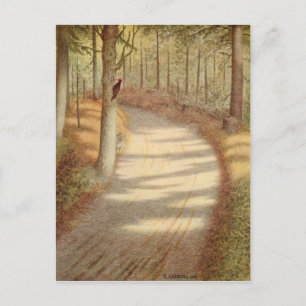 Woodpecker by Theodor Severin Kittelsen Postcard