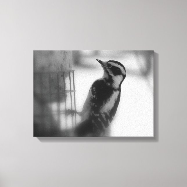 Woodpecker Canvas Print (Front)