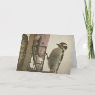 Woodpecker Card