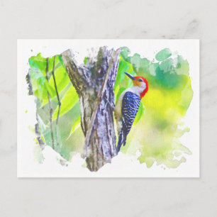 Woodpecker clinging to tree postcard