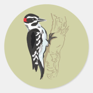 Woodpecker illustration classic round sticker