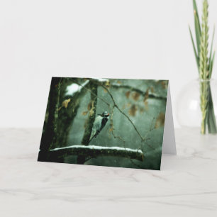 Woodpecker in Snow Greeting Card
