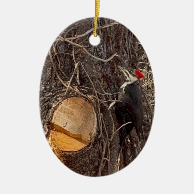 Woodpecker in Tree Photo Ornament (Front)