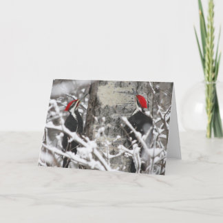 Woodpecker In Winter Card