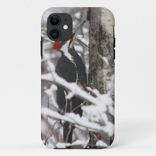 Woodpecker - iPhone 5 Case (Back)