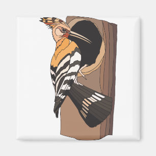 woodpecker magnet