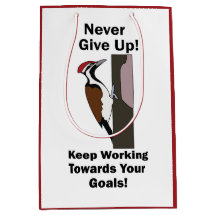 Woodpecker Never Give Up Inspirational