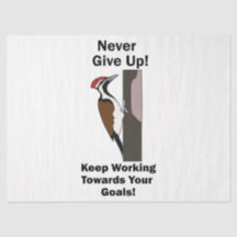 Woodpecker Never Give Up Inspirational