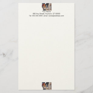 Woodpecker Portrait Stationery