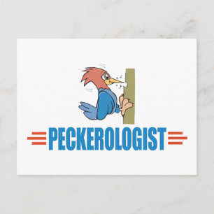 Woodpecker Postcard