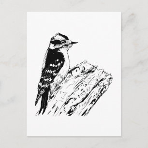 Woodpecker Postcard
