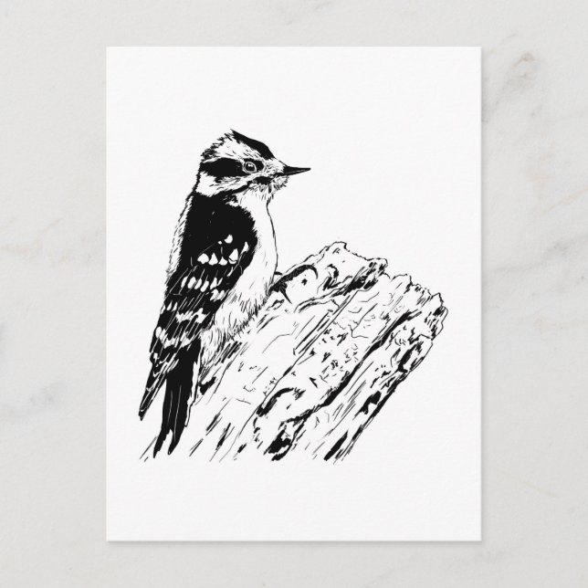 Woodpecker Postcard (Front)