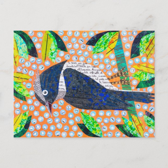 Woodpecker Postcard (Front)