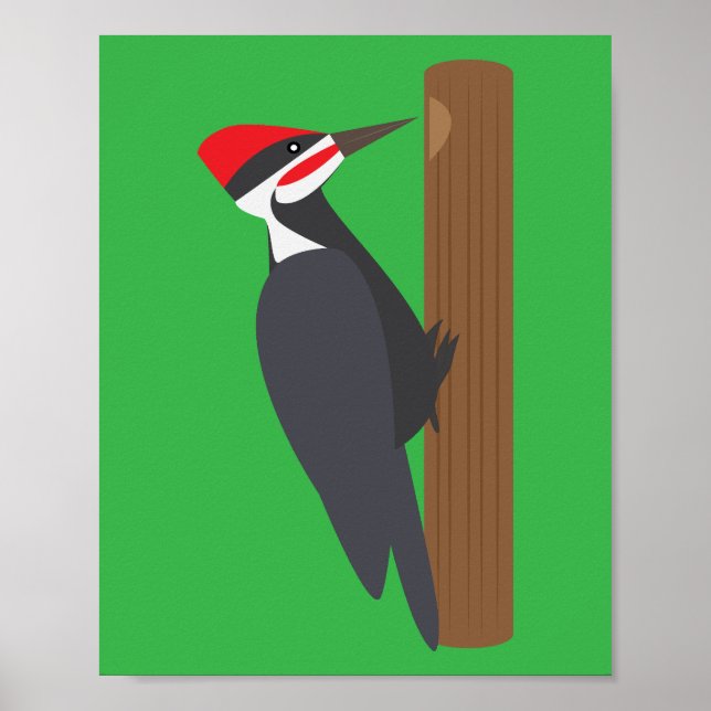 Woodpecker Poster (Front)