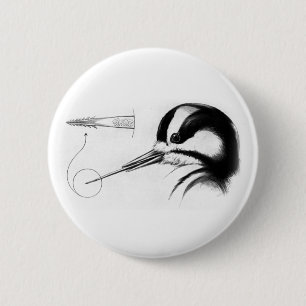 Woodpecker Tongue Anatomy 6 Cm Round Badge
