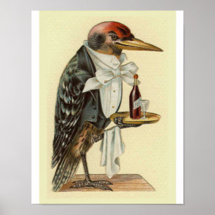 Woodpecker Waiter Vintage Bird Illustration Poster