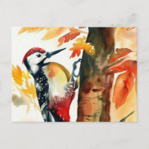 Woodpecker Watercolour Postcard
