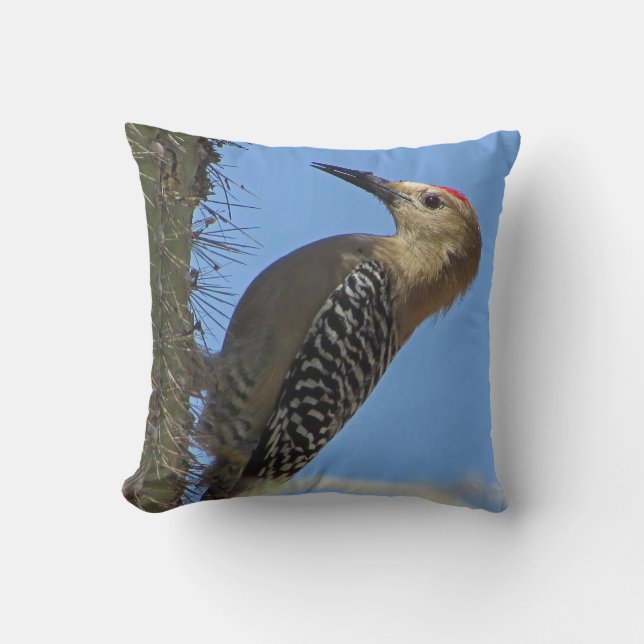 Woodpecker with Cactus Photo Desert Southwest Bird Cushion (Front)