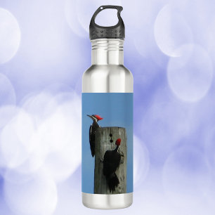 Woodpeckers Posing on a Pole 710 Ml Water Bottle
