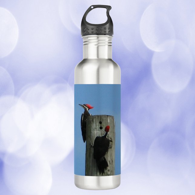 Woodpeckers Posing on a Pole 710 Ml Water Bottle (A water bottle with a photo of two woodpeckers on a pole)