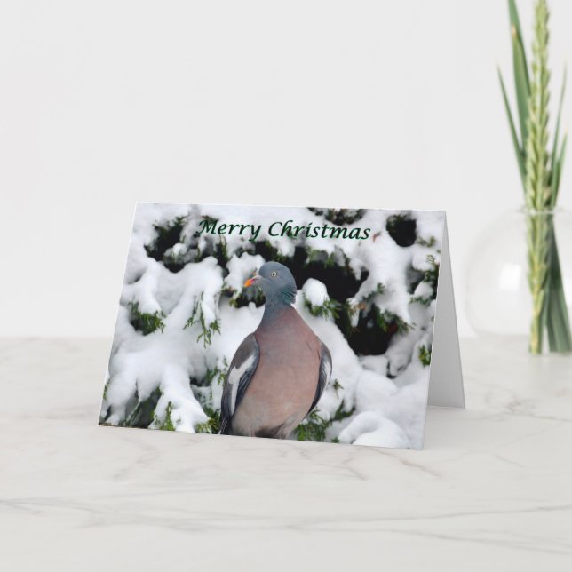 woodpigeon in snow Christmas card (Front)
