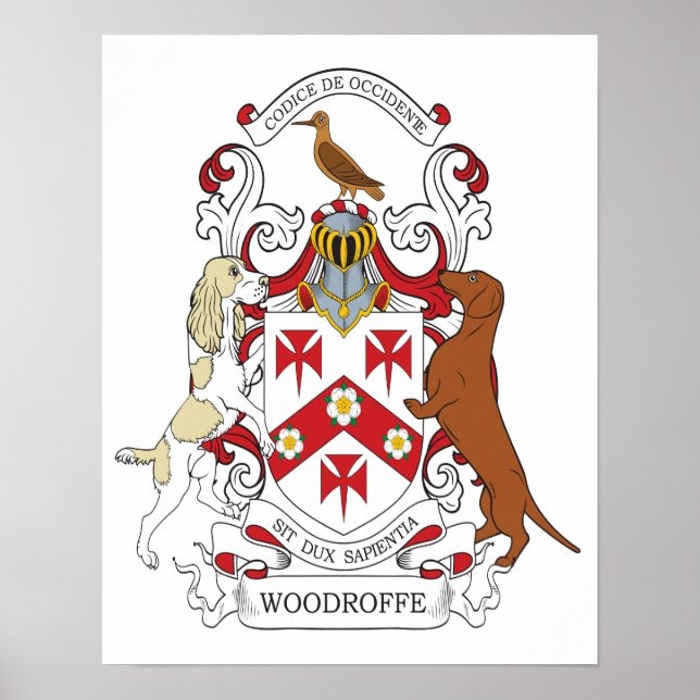 Woodroffe Custom 2 Poster (Front)