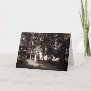 Woods Bute Park, Cardiff II Card