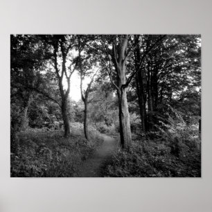 Woods Bute Park, Cardiff Poster