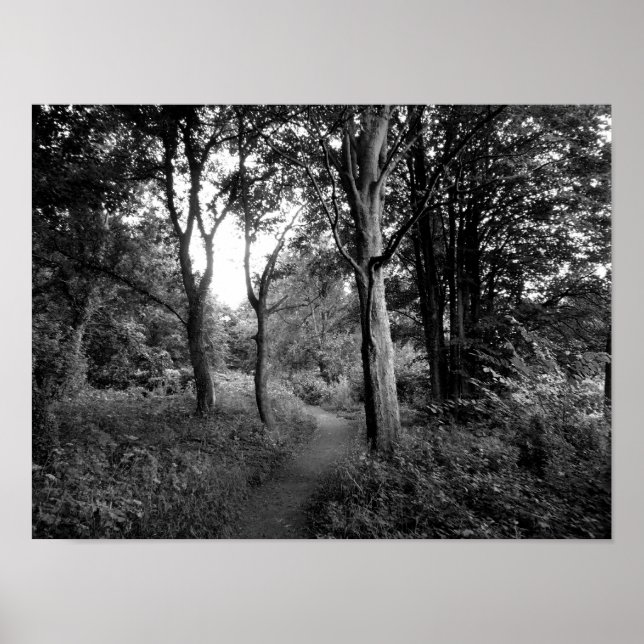 Woods Bute Park, Cardiff Poster (Front)