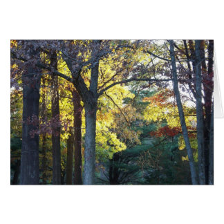 woods card