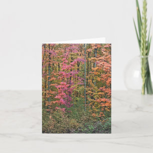 "WOODS IN AUTUMN" NOTECARD
