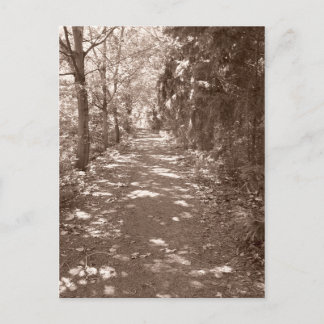 Woods Path--Sepia Postcard