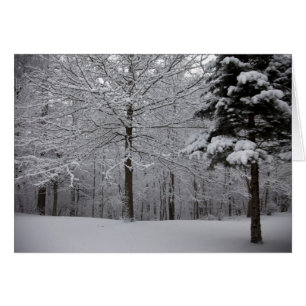 Woods View