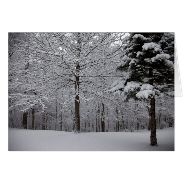 Woods View (Front Horizontal)