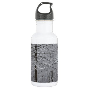 Woods View 532 Ml Water Bottle