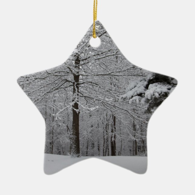 Woods View Ceramic Tree Decoration (Front)