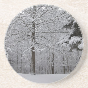 Woods View Coaster