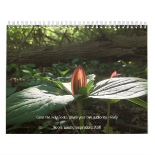 Woods Walking Inspirations 2020 Calendar