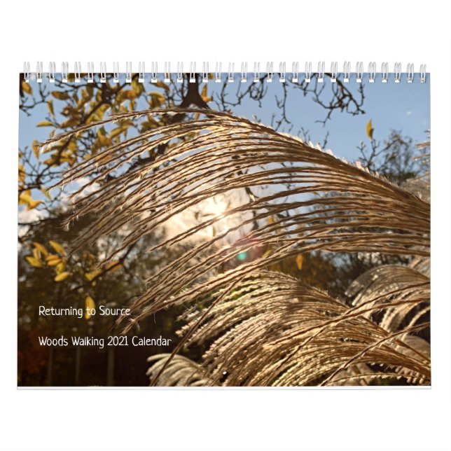 Woods Walking Inspirations 2021 Calendar (Cover)