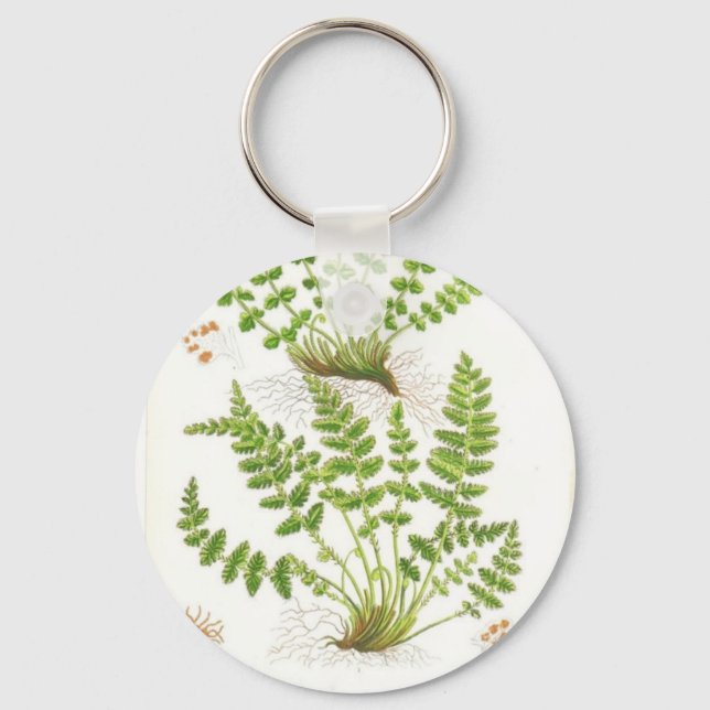 Woodsia Fern Key Ring (Front)