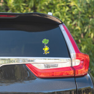 Woodstock Carrying Shamrock