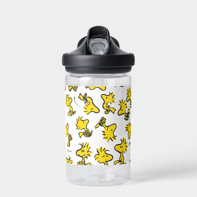 Woodstock Classic Design Pattern Water Bottle (Front)