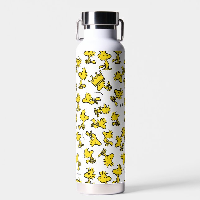 Woodstock Classic Design Pattern Water Bottle (Front)