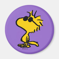 Woodstock Cool Sunglasses