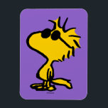 Woodstock Cool Sunglasses Pattern Magnet<br><div class="desc">Take a look at this super cute design featuring Woodstock wearing cool sunglasses.</div>